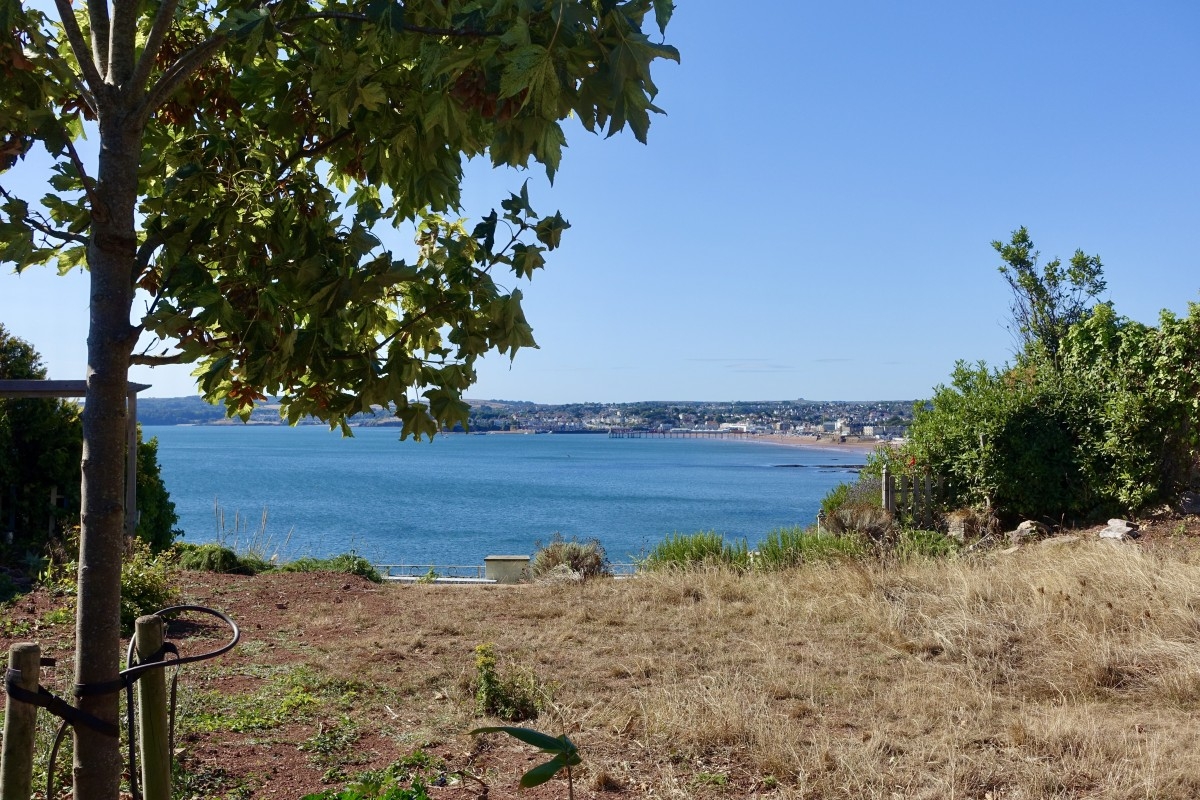 Torbay Road Property for Sale in Torquay John Couch The Estate Agent